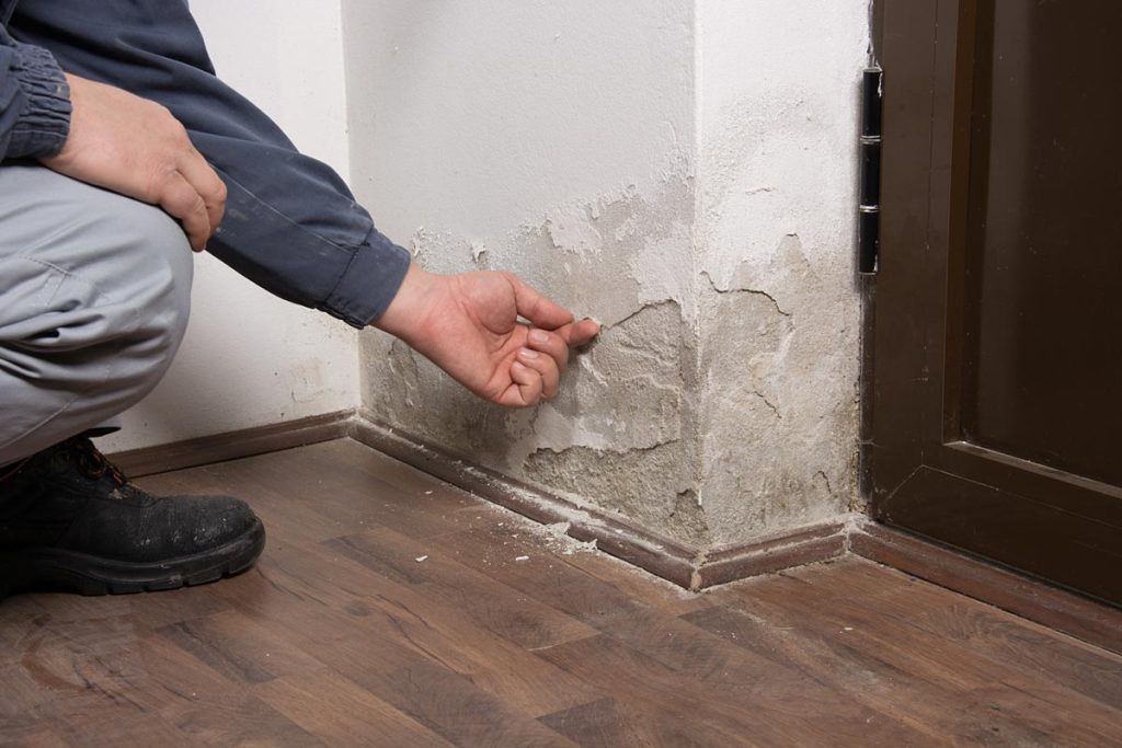 Services Why You Need a Blackpool Damp Proofing Specialist (Not Just a General Builder)