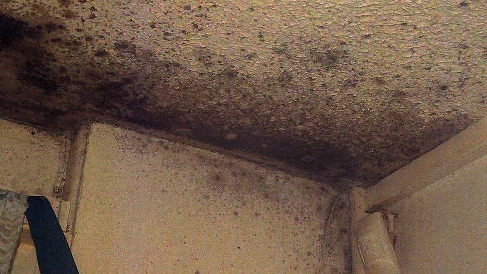 Damp Proofing Black Mould